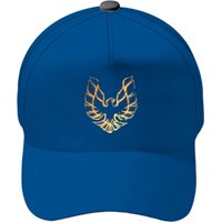 Firebird - Firebird - Baseball Caps