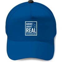 Birds Aren't Real They'r Government Drones Baseball Caps