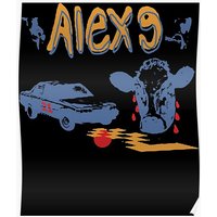 Awesome First Day Alex G Cute Photographic Premium Matte Vertical Poster