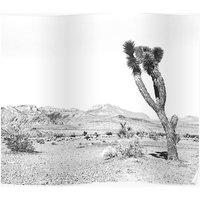 Vintage Desert Scape Black And White // Picture Of A Joshua Tree Cactus And Mountains In The Desert Daylight Premium Matte Vertical Poster
