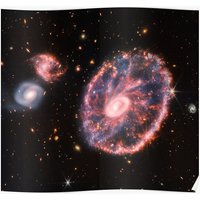 James Webb Space Telescope The Cartwheel Galaxy Premium Matte Vertical Poster