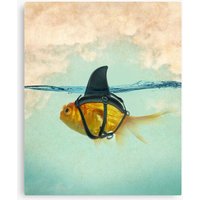 Brilliant Disguise, Goldfish With A Shark Fin Canvas