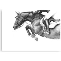 Flick - Showjumping Horse Canvas