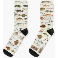 Fish Chart Socks
