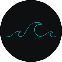 Waves Spare Tire Cover