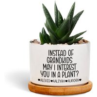 Instead Of Grandkids Can I Interest You In A Plant Funny Plant Pot