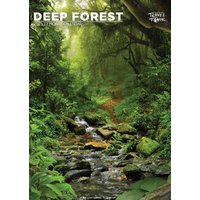 Deep Forest 2025 Calendar