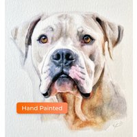 Hand-painted Pet Portrait From Photo, Custom Watercolor Art