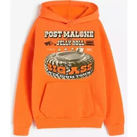Post Malone Tour 2025 Collection Gift For Fan Hoodie