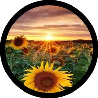 Sunrise Sunflower Spare Tire Cover