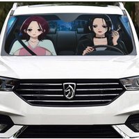 Nana Accordion Car Sun Shades