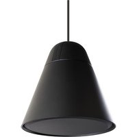 Biamp Desono P30DT Two-Way 4.25-inch Pendant Mount Loudspeaker Black
