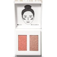 Promo Dr Pierre Ricaud 55% de réduction sur le duo blush et enlumineur