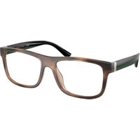 Polo Ralph Lauren , Shiny Havana Glasses, PH2290U 5974, Mojo Glasses