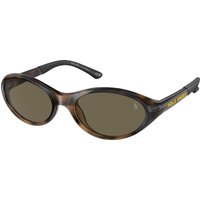 Polo Ralph Lauren , Shiny Havana Sunglasses Brown lenses, PH4197U 5003/3, Mojo Glasses