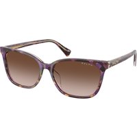 Ralph By Ralph Lauren , Violet Havana/Transparent Sunglasses Gradient Brown lenses, RA5348U 630313, Mojo Glasses
