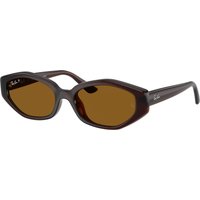 Ray-Ban RB4473D, Dark Brown Polarized Sunglasses Dark Brown Polarized lenses, Mojo Glasses