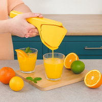 Easy Squeeze Fruit Juicer A242621