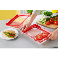 Stretch Lid Food Storage Tray Set of 2 A202178