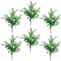 6 x 55cm Himilayan Maidenhair Fern Bush Dark Green Plant