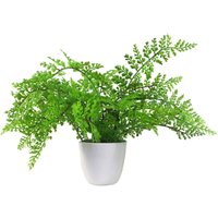 30cm Artificial Potted Royal Fern