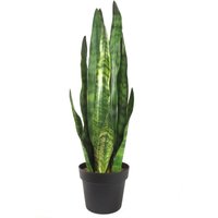 70cm Artificial Sansevieria Zeylanica Plant