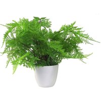 30cm Artificial Potted Lady Fern (Athyrium Filix-Femina)