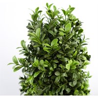 120cm Sprial Buxus Artificial Tree UV Resistant Outdoor
