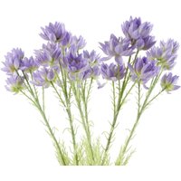 Pack of 6 x 60cm Purple Starflower Stem - 30 Flowers