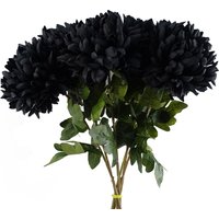 x Extra Reflex Chrysanthemum