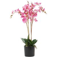 60cm Leaf Design UK Realistic Artificial Orchid Flower Display in Pot
