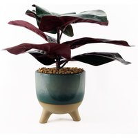 35cm Artificial Ficus Plant with Teal Blue Green Ceramic Planter
