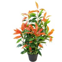 80cm Leaf Realistic Red Robin Artificial Ficus Tree / Plant