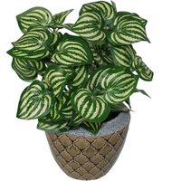 40cm Artificial Watermelon Style Leaves Plant