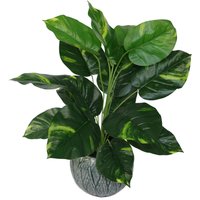 60cm Artificial Devil's Ivy (Scindapsus Aureus) Plant