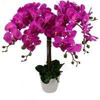 85cm Artificial Deluxe XL Orchid - Dark Pink