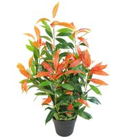 80cm Artificial Red and Green Ficus Plant