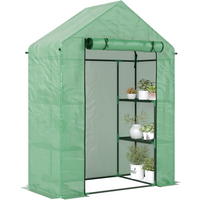 WalkIn Greenhouse 2 Tier Shelf, Roll-Up Door, PE Cover, 141x72x191cm, Green
