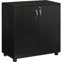 2-Tier Locking Office Storage Cabinet File Organisation w/ 2 Keys Black HOMCOM