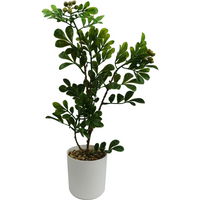 45cm Artificial Aglaia Odorata Bonsai Ficus Tree