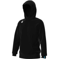 Hooded sweatshirt Arena Team Panel