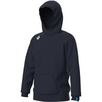 Hooded sweatshirt Arena Team Panel