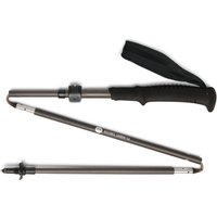 Hiking stick Black Diamond Distance FLZ Pl S22