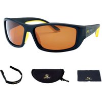 Sonnenbrille Carp Spirit