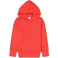 Hoodie Champion Cml Logo
