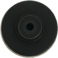 Replacement cap for canister Fitletic