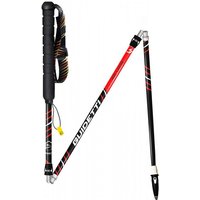 Trail stick Guidetti Silver
