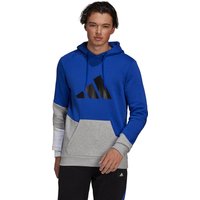 Sudadera con capucha adidas Sportswear Colorblock