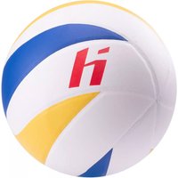 Volleyball Huari Voltis