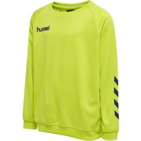 Sweatshirt polyester enfant Hummel Promo